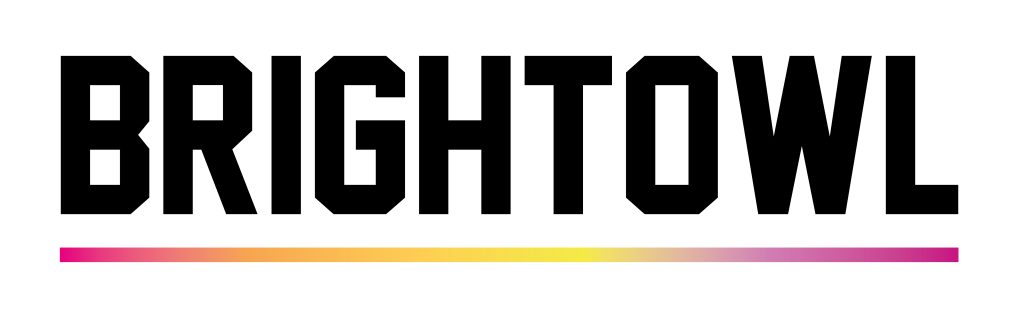 BrightOwl Logo